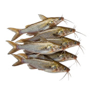 Gulsha (500gm)
