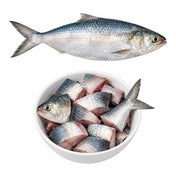 Hisla Fish (~2lb)
