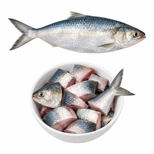 Hisla Fish (~2lb)