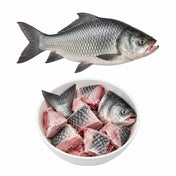 Katla Fish (~5lb)